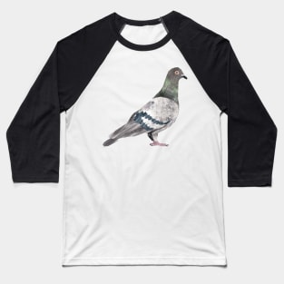 Rock Pigeon Baseball T-Shirt